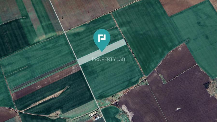 Teren 30.000 mp cu acces asfaltat – Peciu Nou - 2