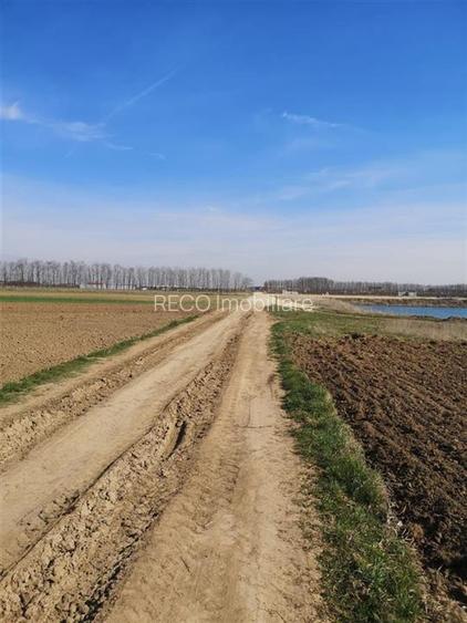 RECO Teren Santion - 4