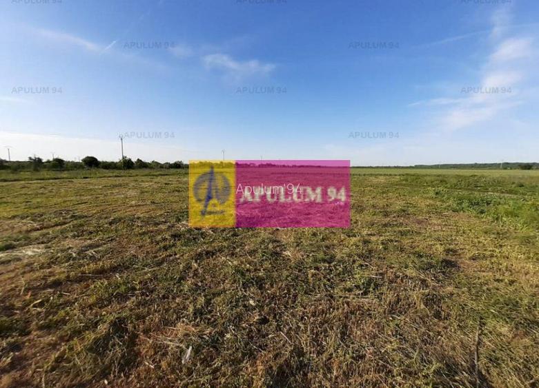 Teren construcție casă - 1 Decembrie - Zona Metropolitană București - 30