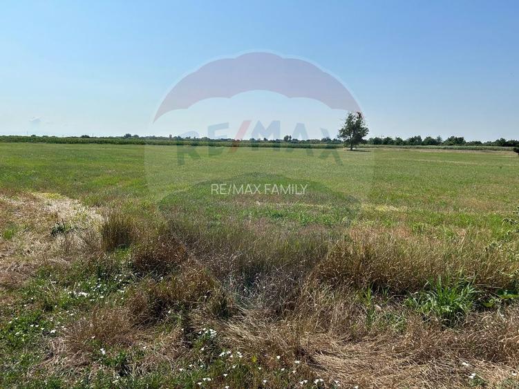 Teren in parcul industrial Madaras la intrare in oras Salonta . - 9