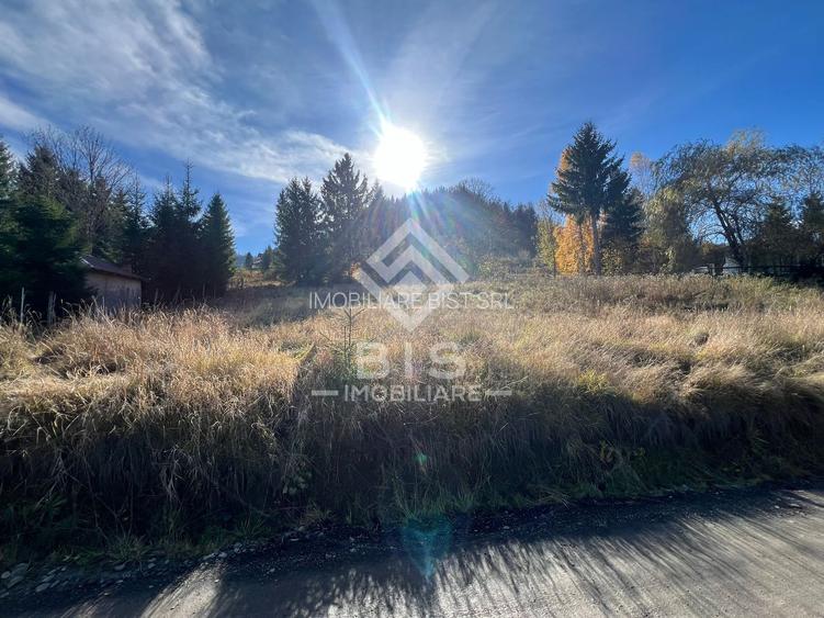 Teren de vanzare 12 ari - COLIBITA - 4