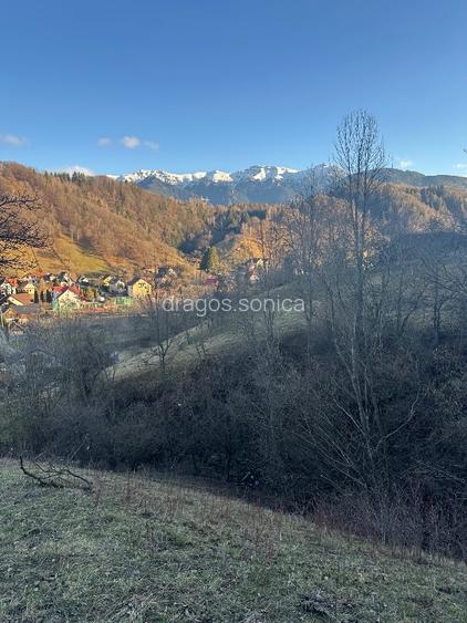 Teren de vanzare intravilan  Bran - 3