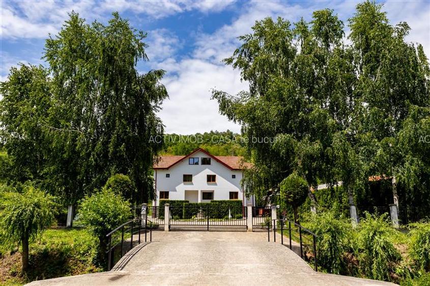 Vila 7 camere - Babana - Arges - teren 4391 mp - fara comision la cumparator - 8