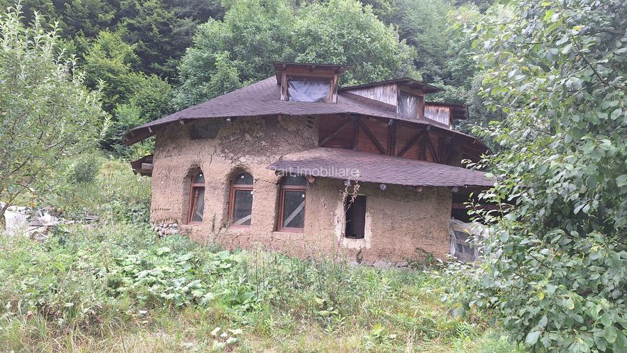 VANZARE ANSAMBLU CASUTE BRADULET ARGES - 2