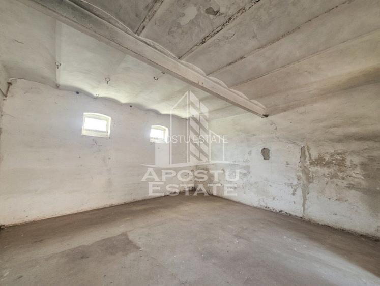 Casă spațioasă cu 2 locuințe și teren generos de 5.755 mp în Șandra - 12