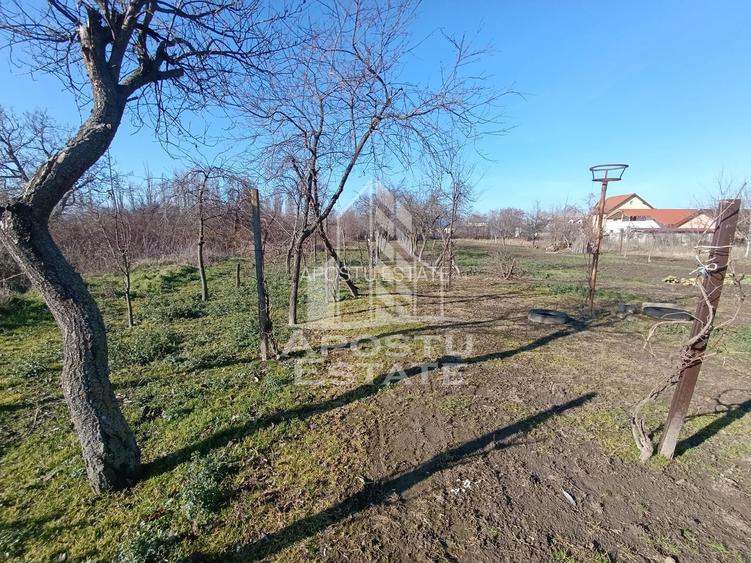 Casa individuala cu teren generos 2158mp, front 12m, livada, Freidorf - 14