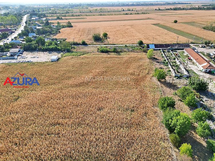 AZURA Imobiliare - Teren la DN7 langa Gaesti, Crangurile - Badulesti - 16