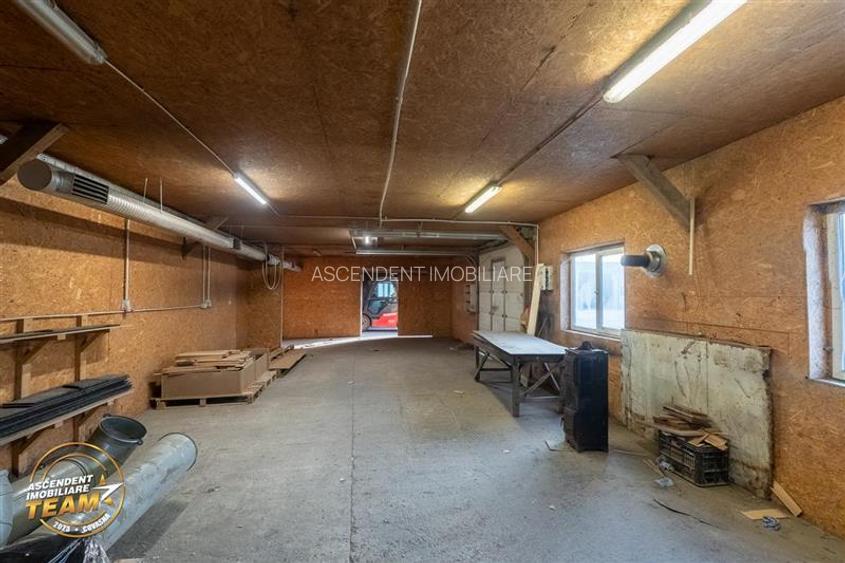 Complex industrial modern,acces dublu, potential apreciabil,Valea Crișului, - 51