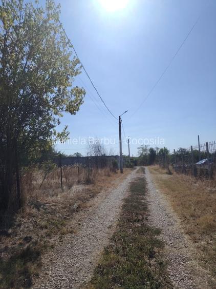 Loc de casă Fundeni (Frunzănești) - 5
