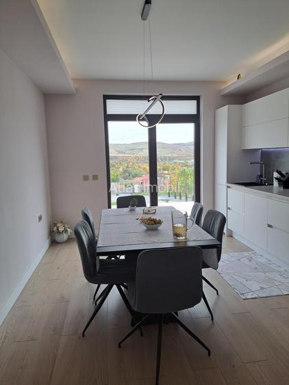 VILA NOUA,MODERNA CU 2100 METRI PATRATI TEREN-VIISOARA - 4