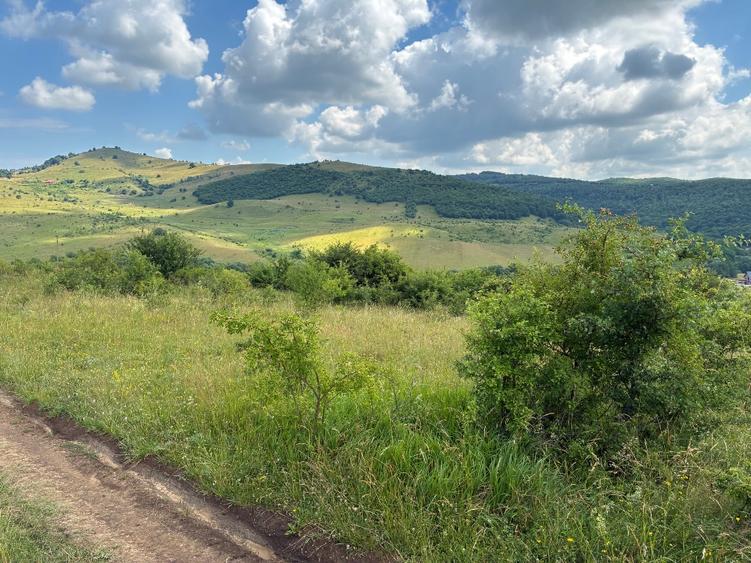Vand teren in localitatea Salicea extravilan 974 MP