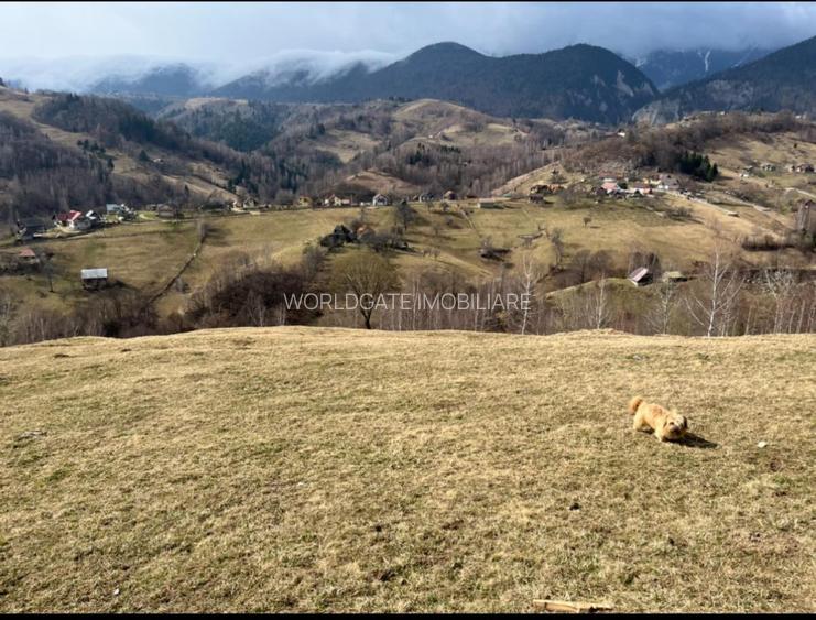 Vanzare Teren cu Punct de Belvedere in Moieciu zona Magura-Pestera - 3