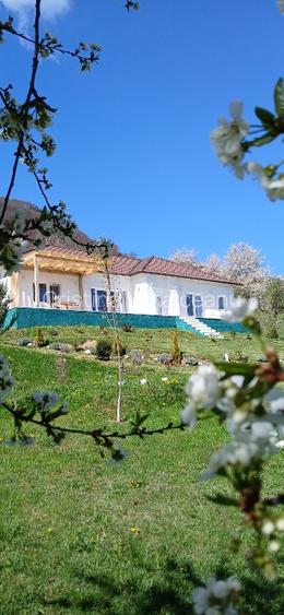  Proprietate speciala in Bran-Predelut cu 2 case, priveliște panoramica 180* - 16