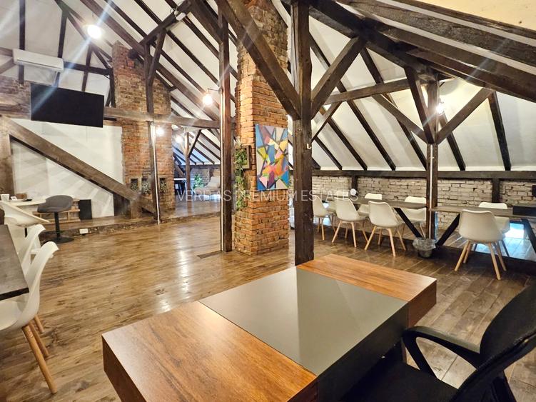 Vila  cu prestanta de inchiriat Cismigiu Calea Victoriei, curte generoasa - 17