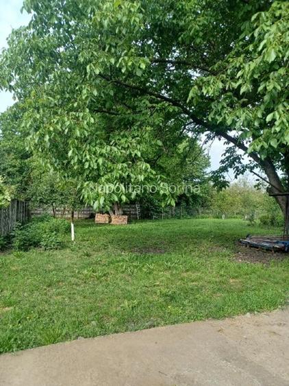 Vand 3413 mp teren intravilan - 9