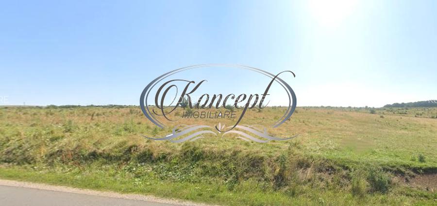 Teren intravilan in Salicea - 4