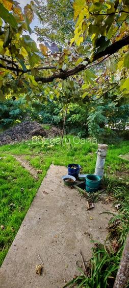 Teren vânzare zona Viile Noi - 6