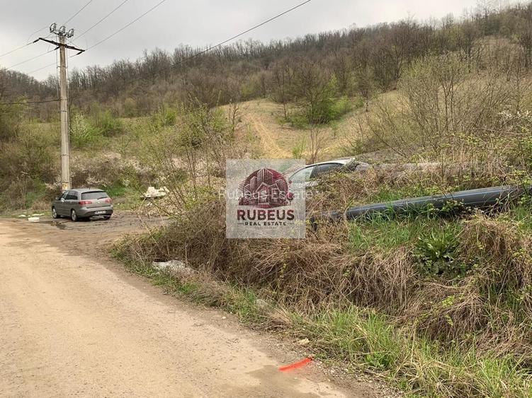 Teren intravilan 2.580 mp Eșelnița, acces DN57, ideal turism, locuinte - 17