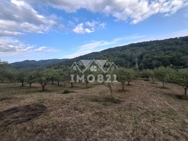 Teren spectaculos cu padure, livada si priveliste panoramica in Soimari PH - 10