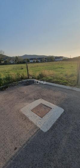 5200 sau 2600 mp teren vanzare,direct proprietar, parcelabil, apropiere Arinis - 11