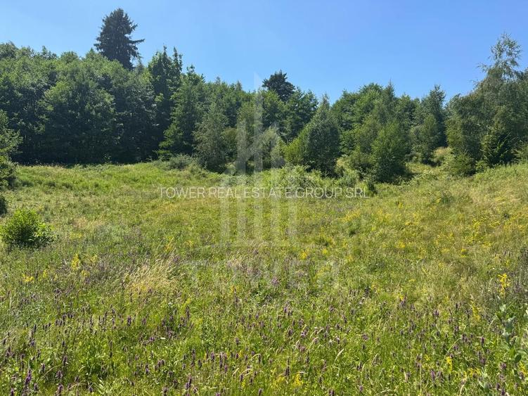 Teren intravilan 4600mp - 55 EUR/mp - EXCLUSIVITATE CISNADIOARA - COMISION 0% - 6