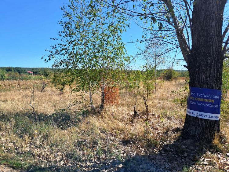 TEREN INTRAVILAN ȘI EXTRAVILAN BAIA DE FIER - 4