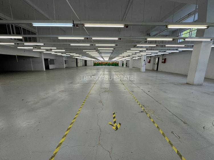 Hala productie P+1 si apartament de serviciu Navodari - c-tie beton - 6