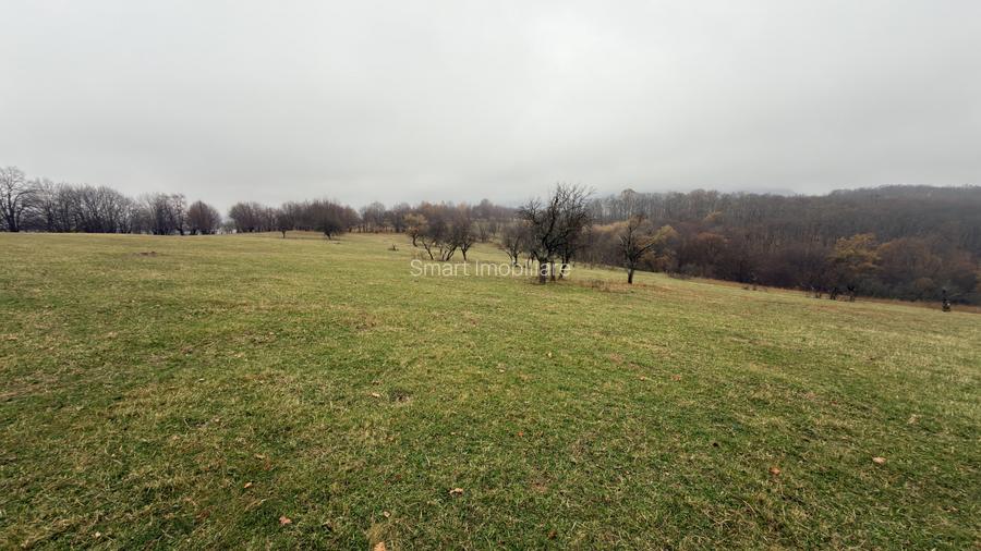 Teren spectaculos 3,5HA zona Cisnadioara - 6