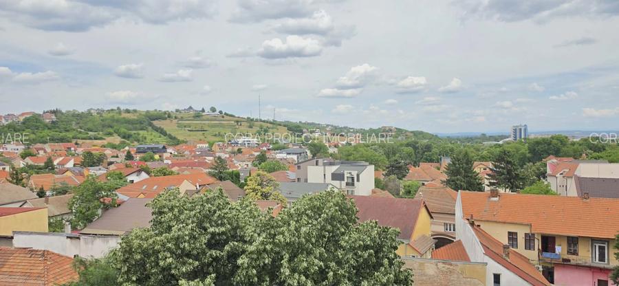 Ap 3 cam central de vânzare, blvd Magheru colț Parcul Traian -AP1514 - 2