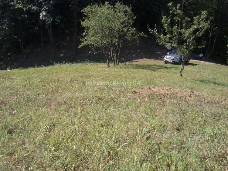 Teren livadă cu panoramă superbă Dealul Malului pentru casă sau cabană - 16