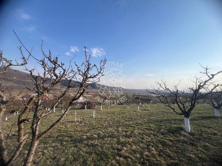 Teren 3100 mp-livada-ideal casa-Mititei - 2