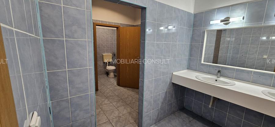 Pantelimon hala productie depozitare - 26