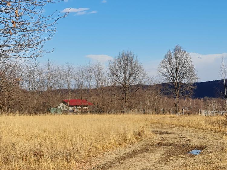 Teren Sinca Noua pretabil investitie 2.7 euro/mp - 4