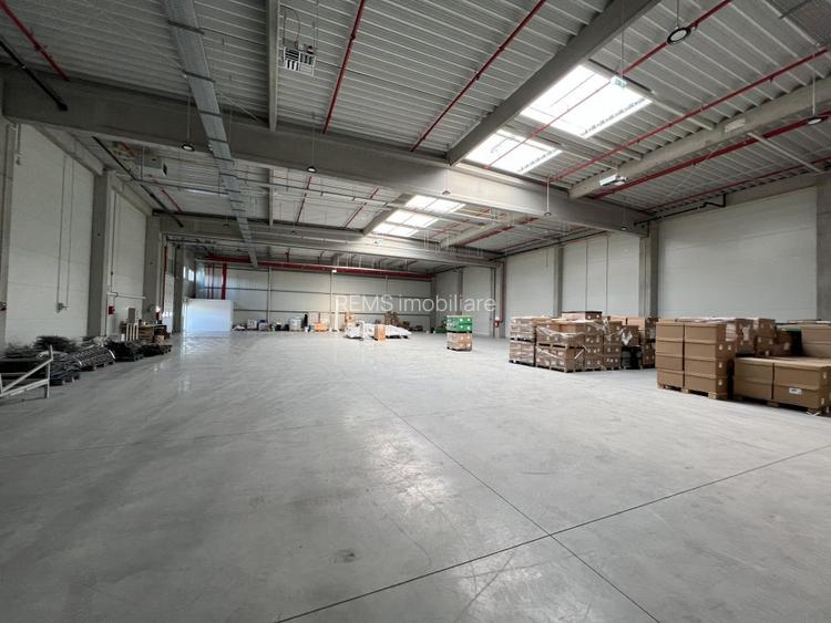 Hala moderna / Productie / Depozitare - 5