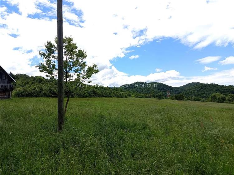 Borlovenii Noi, Teren Drept, 16000mp, la Limita Localitatii - 12