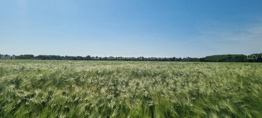 Ferma de Cultura Mare 1100 HA - 8