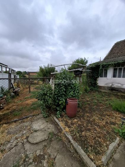 Giarmata Mare - Teren Constructii Case - 6