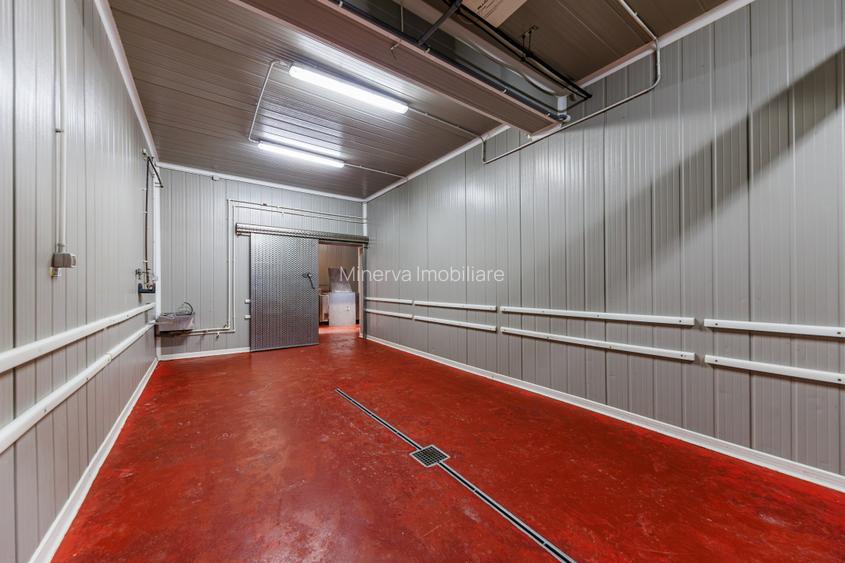 Hala depozitare, Dumbravița Timis, 1285 mp, Farma GDP Medical Cosmetice 6000 Eur - 10