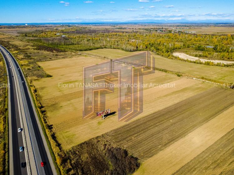 Terenuri industriale cu deschidere la A1, km 64 – Jugureni, Dâmbovița - 14