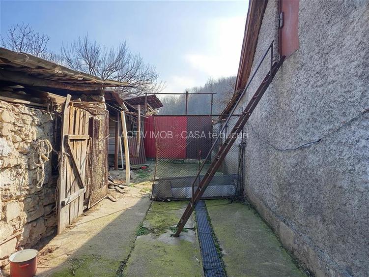 Ciclova, Casa 10 Incaperi, pt 2 Familii, 1439mp Teren - 22