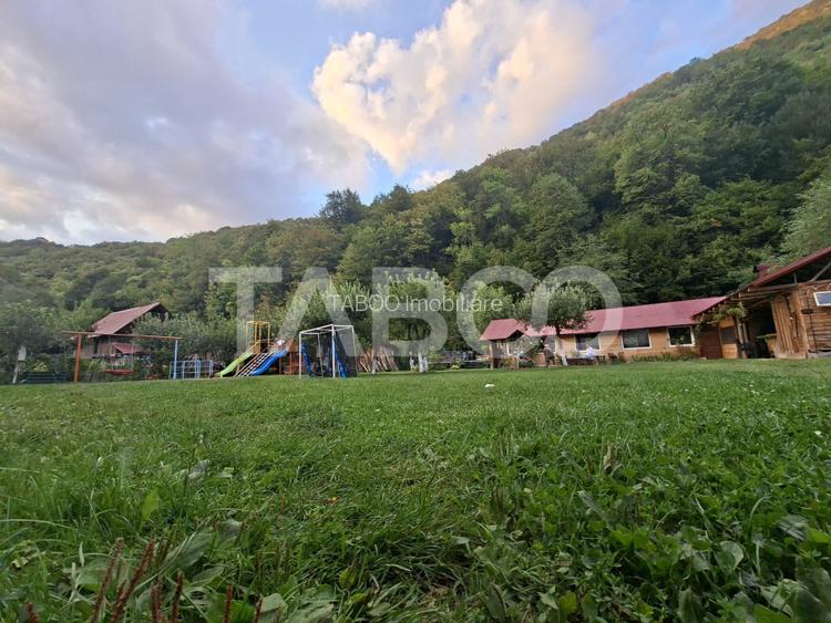 Spatiu de vanzare in Valea Macesului judel Valcea iesire la Lotru - 46