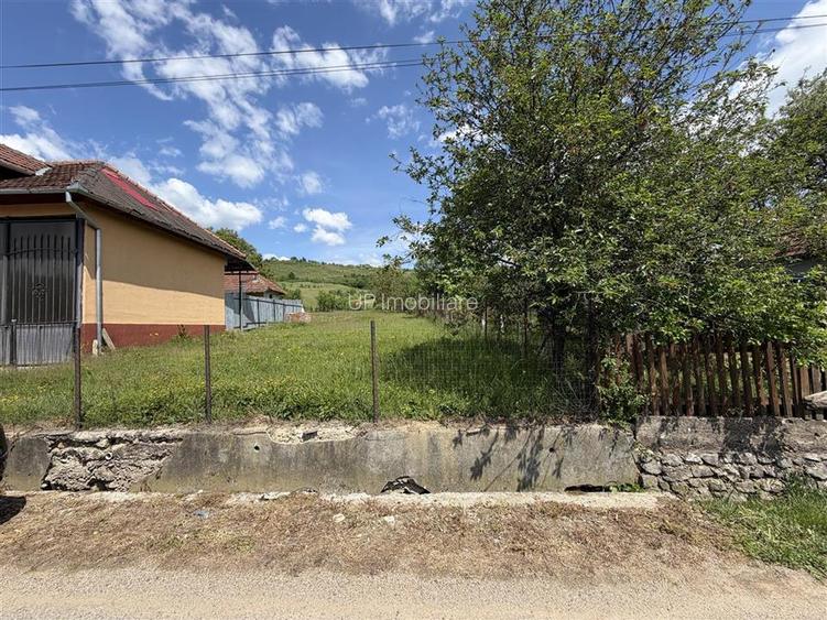 TEREN INTRAVILAN / EXTRAVILAN | DE VANZARE | 1200 MP | ROSIA | BIHOR | - 2