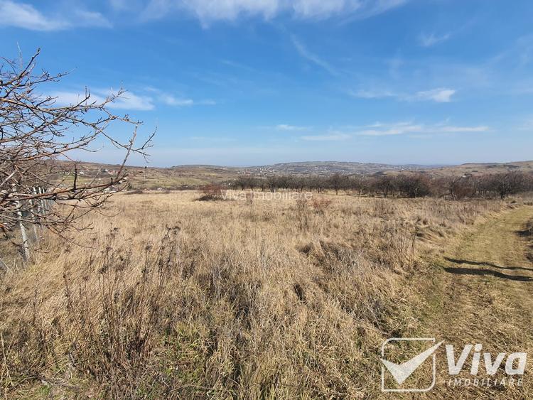 Teren 5300 mp Intravilan in Goruni – Tomesti - 7