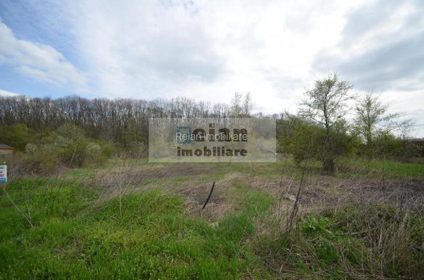 Snagov Crizantemelor Teren 3200mp, d 72ml, gaz, curent, asfalt, padure - 8