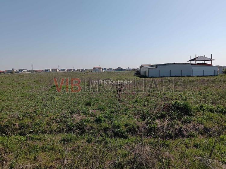 Săcălaz | Parcele teren în PUZ | 600–800 mp | Front 18–20 ml - 3