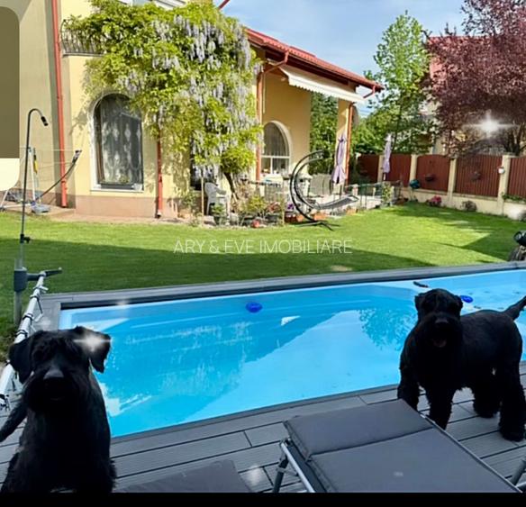 Erou Iancu Nicolae vila individuala pretabila gradinita /after-school - 14