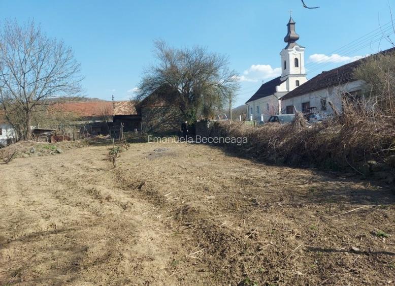 Casa Goruia cu teren,gradina,livada de pruni si pădure  - 7