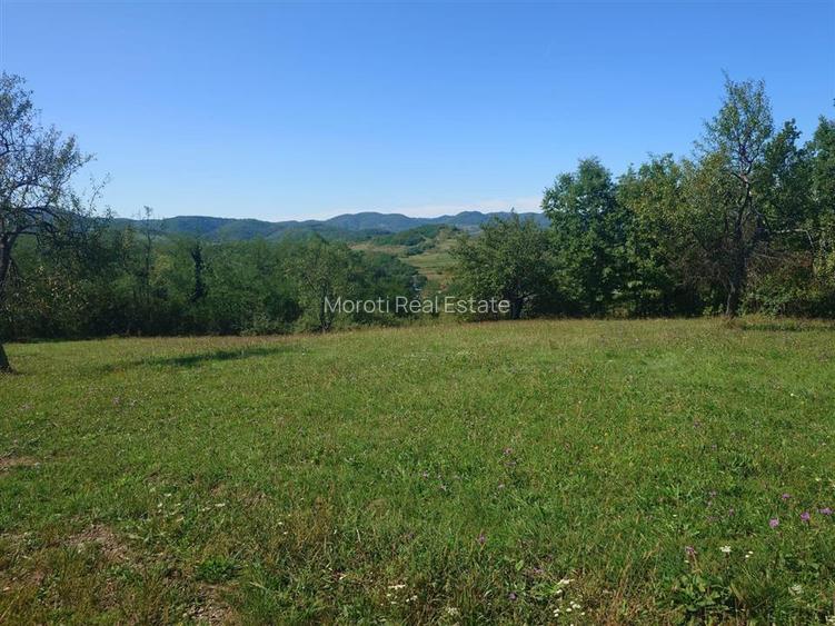 Teren intravilan 8757 mp cu acces direct la E79 - 12