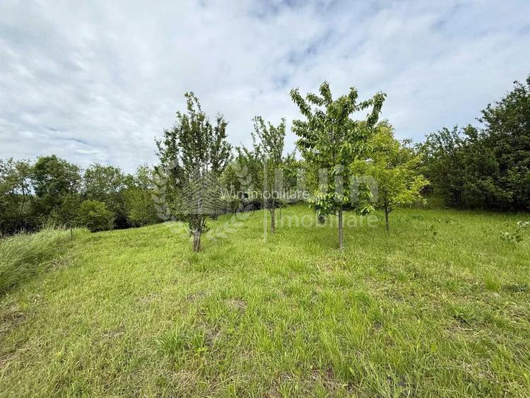 Teren intravilan cu casa renovabila | 2500mp teren | Front 21m | Aiton - 6