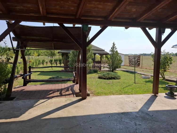 Se vinde casă + teren generos în comuna Acîș (aprox. 38 km de Satu Mare) - 9